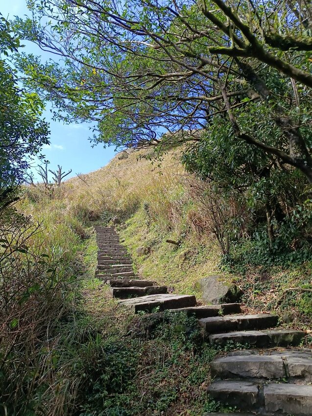 【台北.北投】陽明山免費景點。七星山冷水坑登山口-東峰-主峰-夢幻湖-冷水坑路線