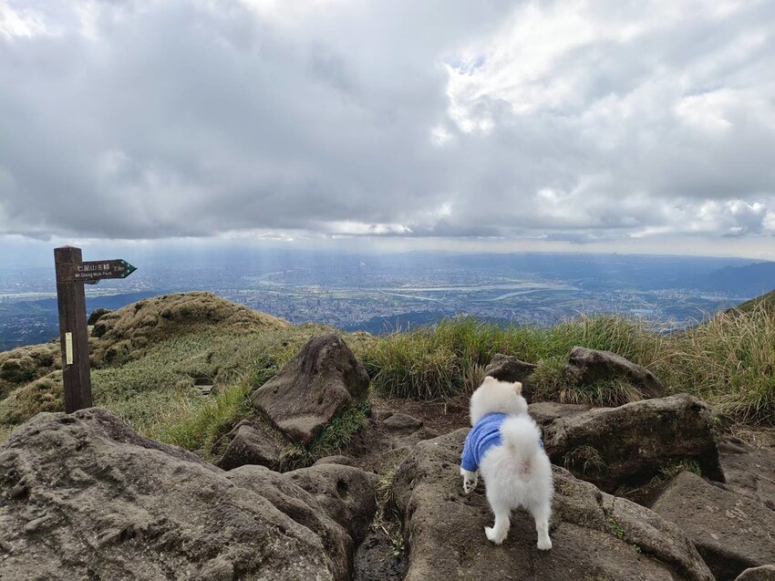 【台北.北投】陽明山免費景點。七星山冷水坑登山口-東峰-主峰-夢幻湖-冷水坑路線