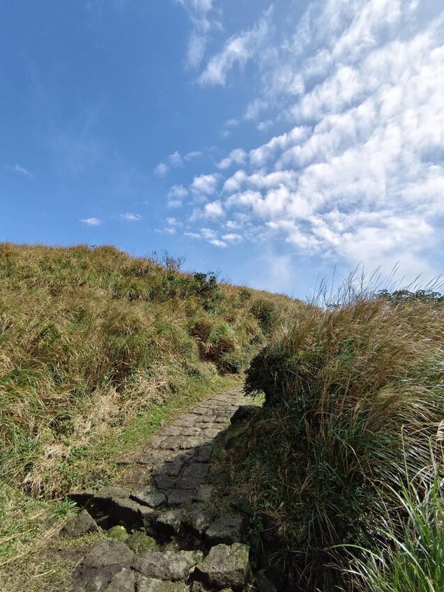 【台北.北投】陽明山免費景點。七星山冷水坑登山口-東峰-主峰-夢幻湖-冷水坑路線