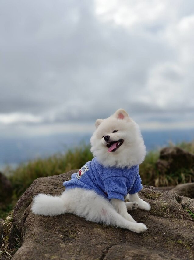 【台北.北投】陽明山免費景點。七星山冷水坑登山口-東峰-主峰-夢幻湖-冷水坑路線