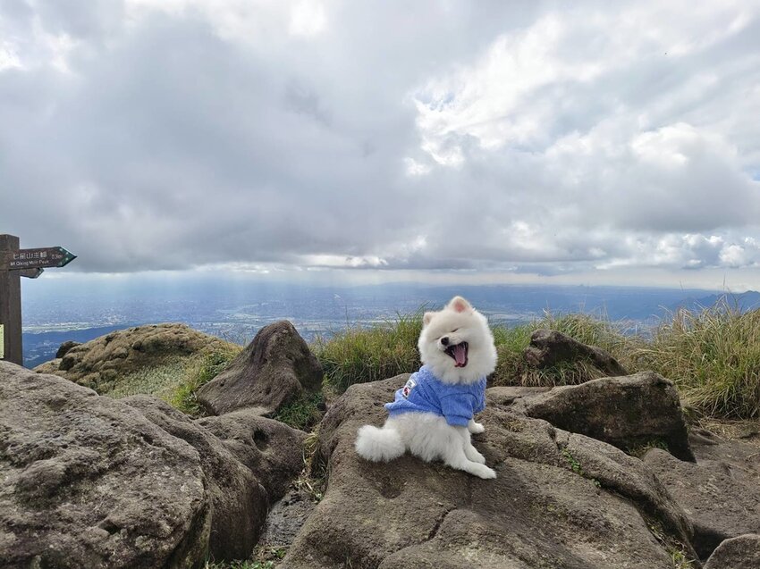 【台北.北投】陽明山免費景點。七星山冷水坑登山口-東峰-主峰-夢幻湖-冷水坑路線