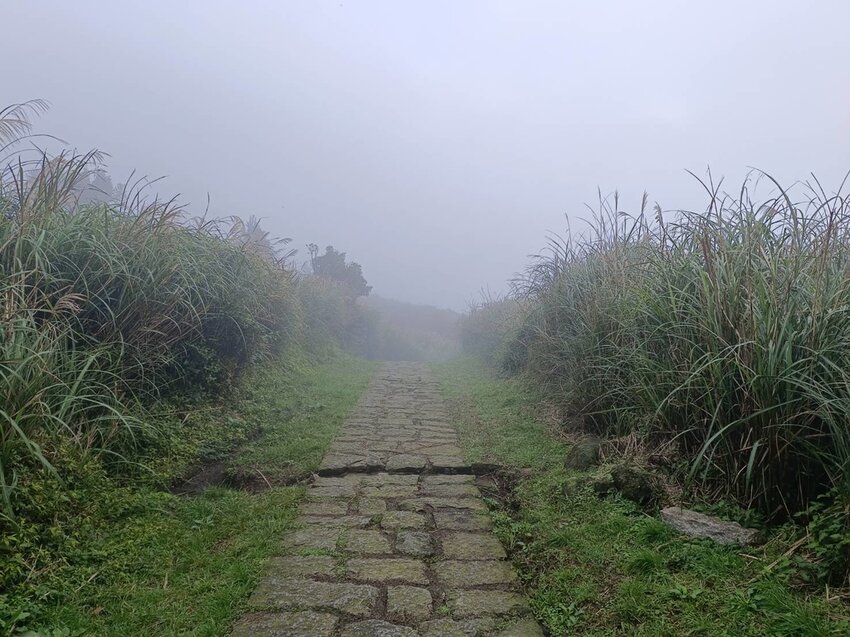 【台北.北投】陽明山免費景點。七星山冷水坑登山口-東峰-主峰-夢幻湖-冷水坑路線
