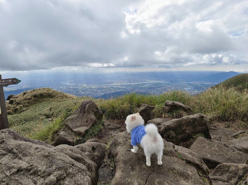 【台北.北投】陽明山免費景點。七星山冷水坑登山口-東峰-主峰-夢幻湖-冷水坑路線