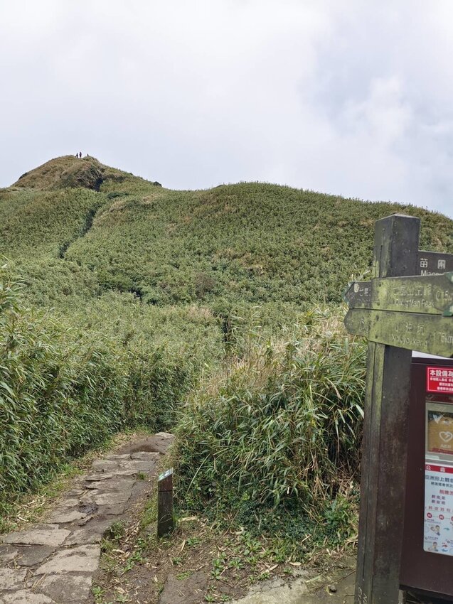 【台北.北投】陽明山免費景點。七星山冷水坑登山口-東峰-主峰-夢幻湖-冷水坑路線