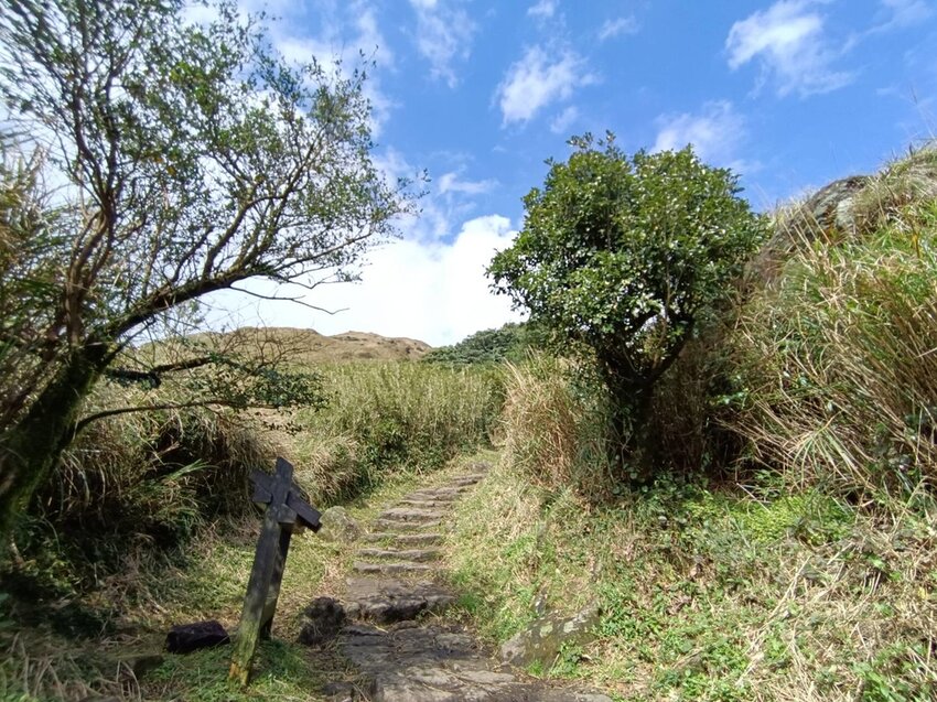 【台北.北投】陽明山免費景點。七星山冷水坑登山口-東峰-主峰-夢幻湖-冷水坑路線