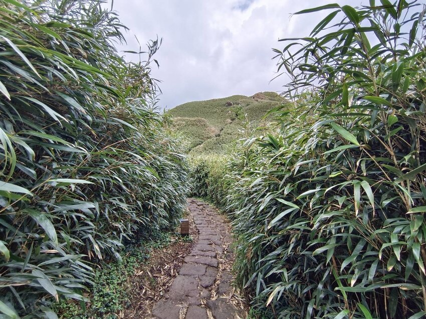 【台北.北投】陽明山免費景點。七星山冷水坑登山口-東峰-主峰-夢幻湖-冷水坑路線