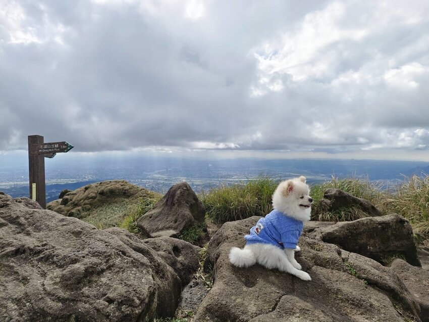 【台北.北投】陽明山免費景點。七星山冷水坑登山口-東峰-主峰-夢幻湖-冷水坑路線