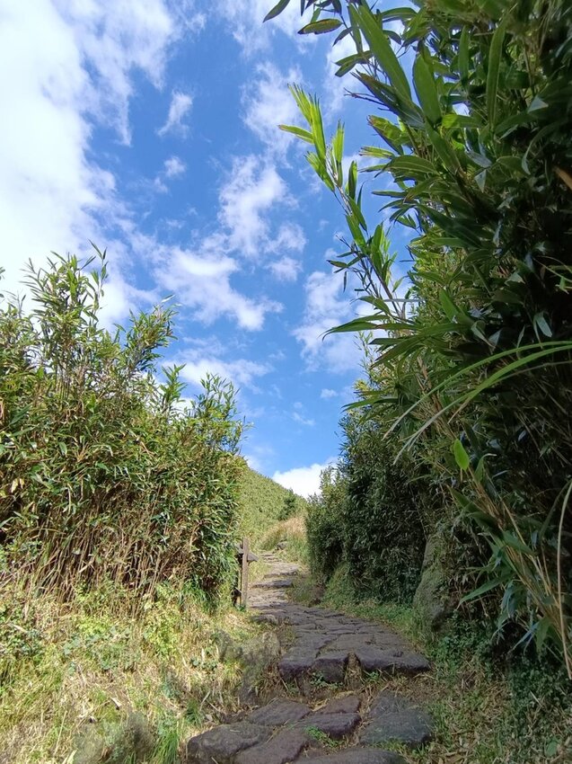 【台北.北投】陽明山免費景點。七星山冷水坑登山口-東峰-主峰-夢幻湖-冷水坑路線