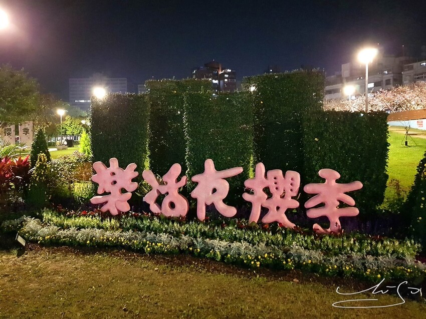 【2022東湖樂活公園櫻花】賞夜櫻最新情報 ➤ 樂活夜櫻季！3公里多達9種櫻花！北台灣賞櫻熱門景點！寒櫻/八重