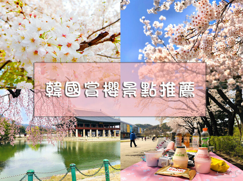【2022台灣櫻花季】全台賞櫻景點推薦Top7 ➤ 最新情報！熱門打卡景點！交通資訊/賞櫻花期一次告訴你！