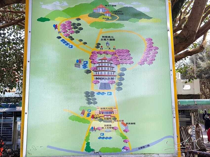 【2022淡水天元宮櫻花】賞櫻花季最新情報 ➤ 賞櫻前線交通資訊！北台灣賞櫻熱門景點！三色櫻／吉野櫻花期！