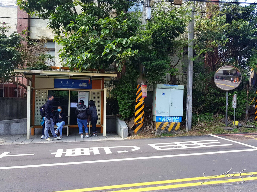 【2022淡水天元宮櫻花】賞櫻花季最新情報 ➤ 賞櫻前線交通資訊！北台灣賞櫻熱門景點！三色櫻／吉野櫻花期！