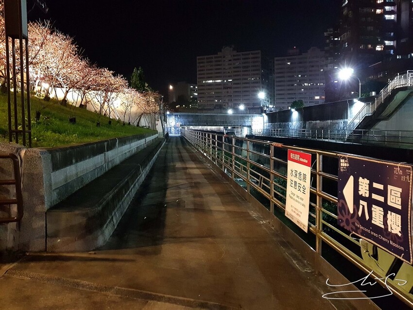 【2022東湖樂活公園櫻花】賞夜櫻最新情報 ➤ 樂活夜櫻季！3公里多達9種櫻花！北台灣賞櫻熱門景點！寒櫻/八重