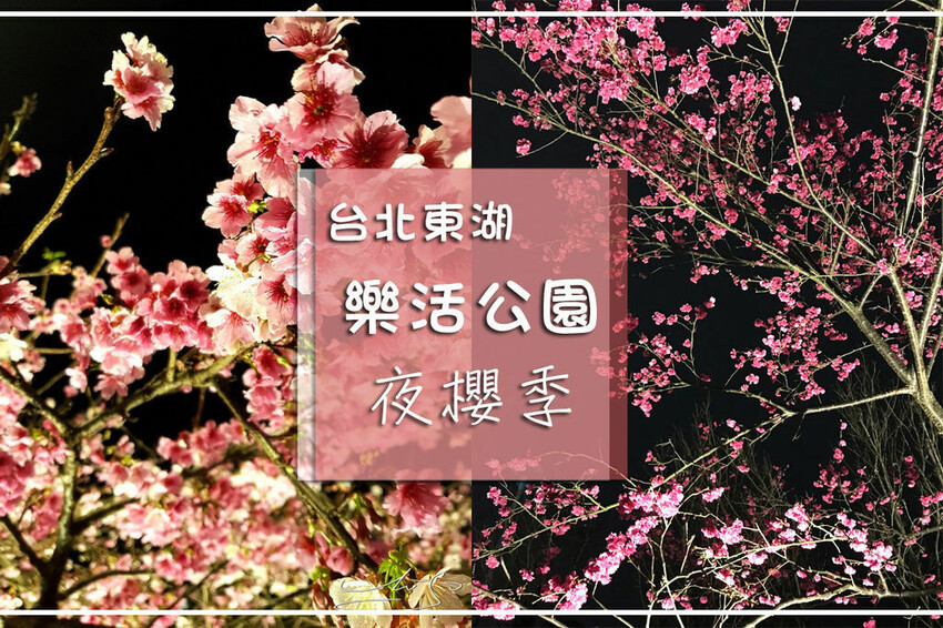 【2022東湖樂活公園櫻花】賞夜櫻最新情報 ➤ 樂活夜櫻季！3公里多達9種櫻花！北台灣賞櫻熱門景點！寒櫻/八重