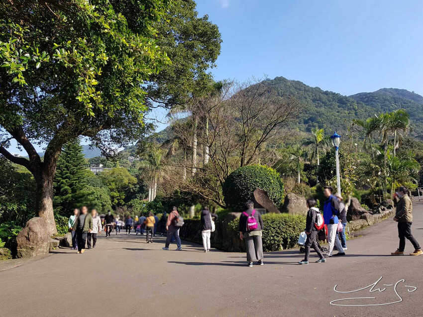 【2022淡水天元宮櫻花】賞櫻花季最新情報 ➤ 賞櫻前線交通資訊！北台灣賞櫻熱門景點！三色櫻／吉野櫻花期！