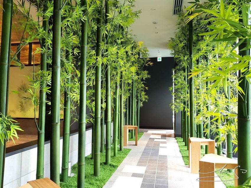 D-CITY DAIWA ROYAL HOTEL NGO ダイワロイヤルホテル (48).jpg