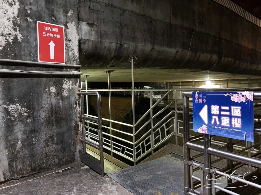 【2022東湖樂活公園櫻花】賞夜櫻最新情報 ➤ 樂活夜櫻季！3公里多達9種櫻花！北台灣賞櫻熱門景點！寒櫻/八重