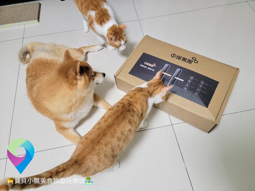 [智能科技]讓多年安全領域專業的中興保全守護您 旗艦款 中保無限+智慧電子鎖 五種開鎖方式 出門在外 安全又