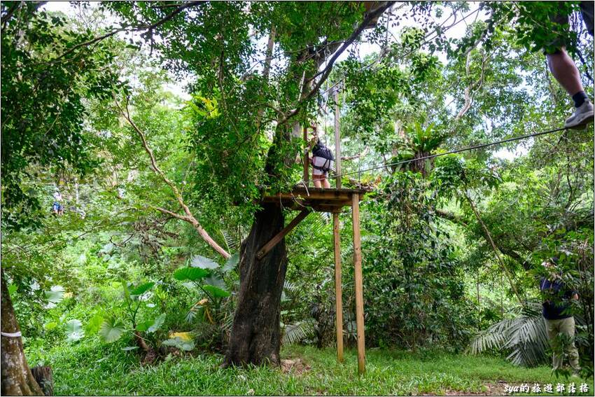 野猴子探險森林 | 樹冠層間刺激的高空滑索