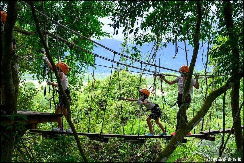 野猴子探險森林 | 樹冠層間刺激的高空滑索