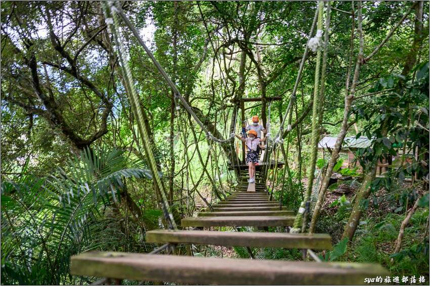 野猴子探險森林 | 樹冠層間刺激的高空滑索