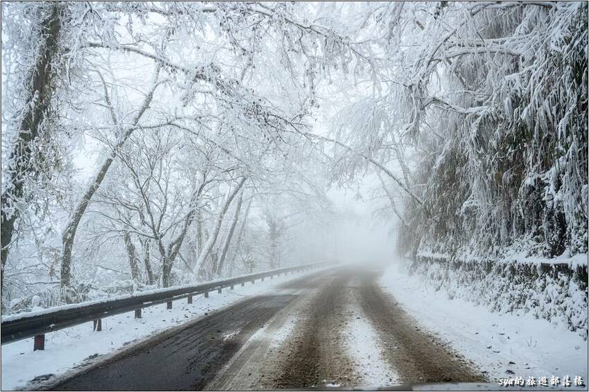 最後快到太平山停車場的這段是不是太夢幻了!! 最後快到太平山停車場的這段是不是太夢幻了!!
