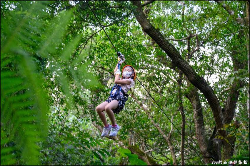 野猴子探險森林 | 樹冠層間刺激的高空滑索