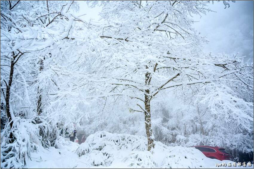 怎麼可以下得這麼白,變得這麼美~兩點起床,一切都值得了! 怎麼可以下得這麼白,變得這麼美~兩點起床,一切都值得了!