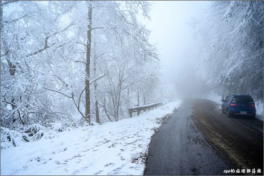 因為一早入園時,對向的路面除了一早走過的產雪車走過外,沒有什麼車潮,因此路面邊上的白雪會保持的較好。 因為一早入園時,對向的路面除了一早走過的產雪車走過外,沒有什麼車潮,因此路面邊上的白雪會保持的較好。