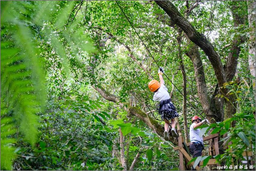 野猴子探險森林 | 樹冠層間刺激的高空滑索