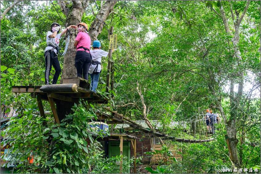 野猴子探險森林 | 樹冠層間刺激的高空滑索