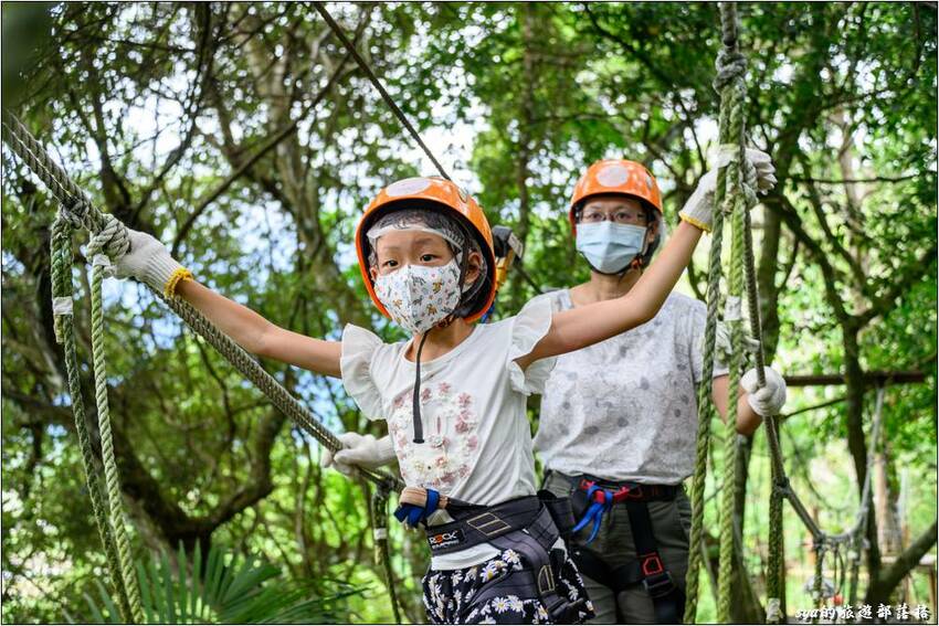 野猴子探險森林 | 樹冠層間刺激的高空滑索