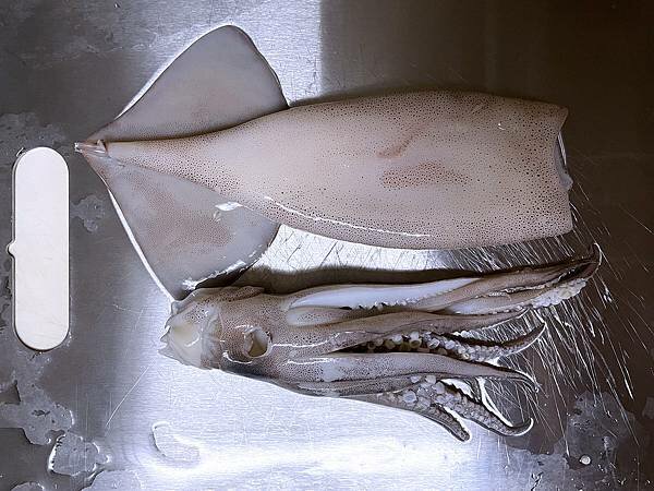 動手下廚│傳說中的海鮮控-佐佐鮮：中秋在家也能享受海陸饗宴，烤肉必備好料-澎湃海陸燒烤宴-小海陸(3-5人)6樣%2F組│美國骰子牛(板腱牛)、美國無骨牛小排、魷魚、草蝦、日本生蠔、扇貝│（外銷等級海鮮水產）海鮮烤肉食材配送到府