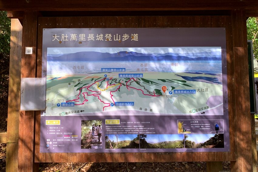 台中大肚｜萬里長城．旗開得勝步道｜藍天枯木．漫步山脊大景