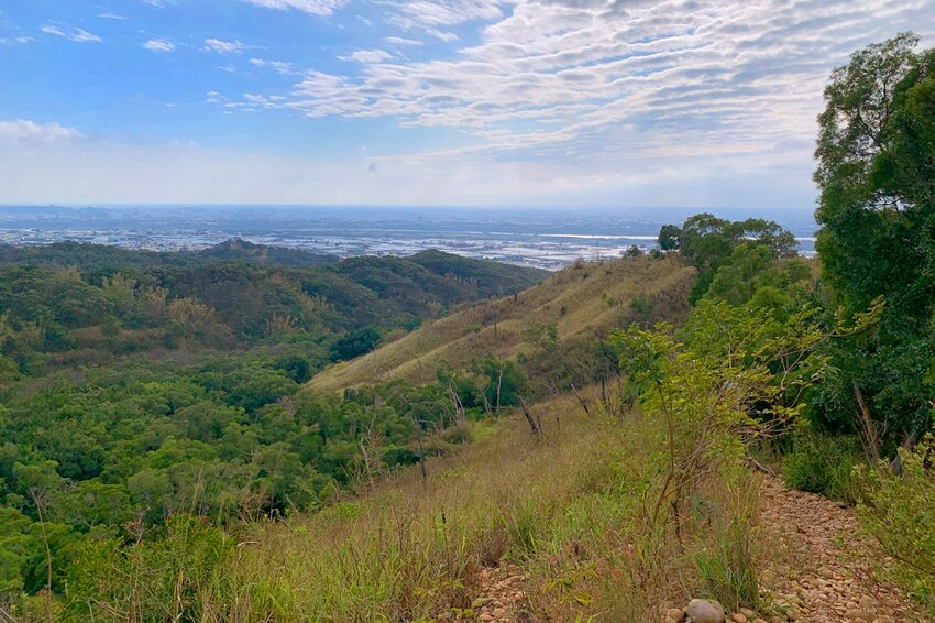 台中大肚｜萬里長城．旗開得勝步道｜藍天枯木．漫步山脊大景