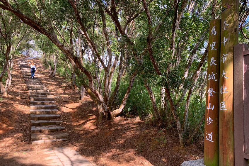 台中大肚｜萬里長城．旗開得勝步道｜藍天枯木．漫步山脊大景