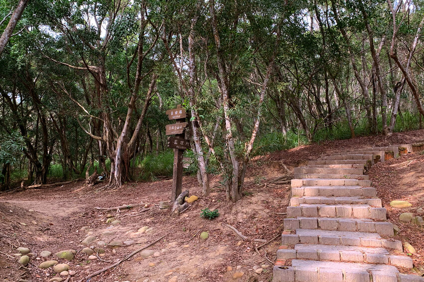 台中大肚｜萬里長城．旗開得勝步道｜藍天枯木．漫步山脊大景