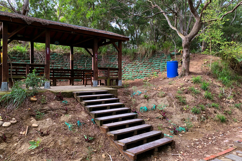 台中大肚｜萬里長城．旗開得勝步道｜藍天枯木．漫步山脊大景