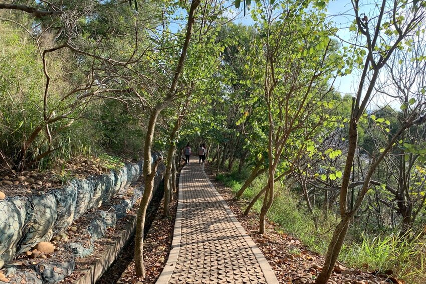 台中大肚｜萬里長城．旗開得勝步道｜藍天枯木．漫步山脊大景