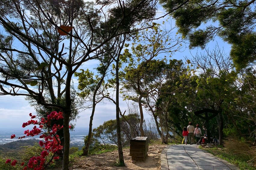 台中大肚｜萬里長城．旗開得勝步道｜藍天枯木．漫步山脊大景