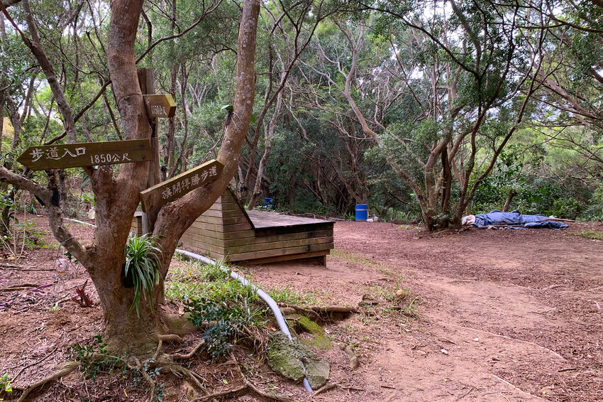 台中大肚｜萬里長城．旗開得勝步道｜藍天枯木．漫步山脊大景