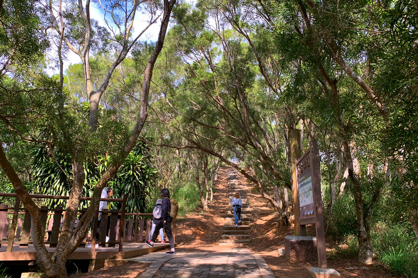 台中大肚｜萬里長城．旗開得勝步道｜藍天枯木．漫步山脊大景