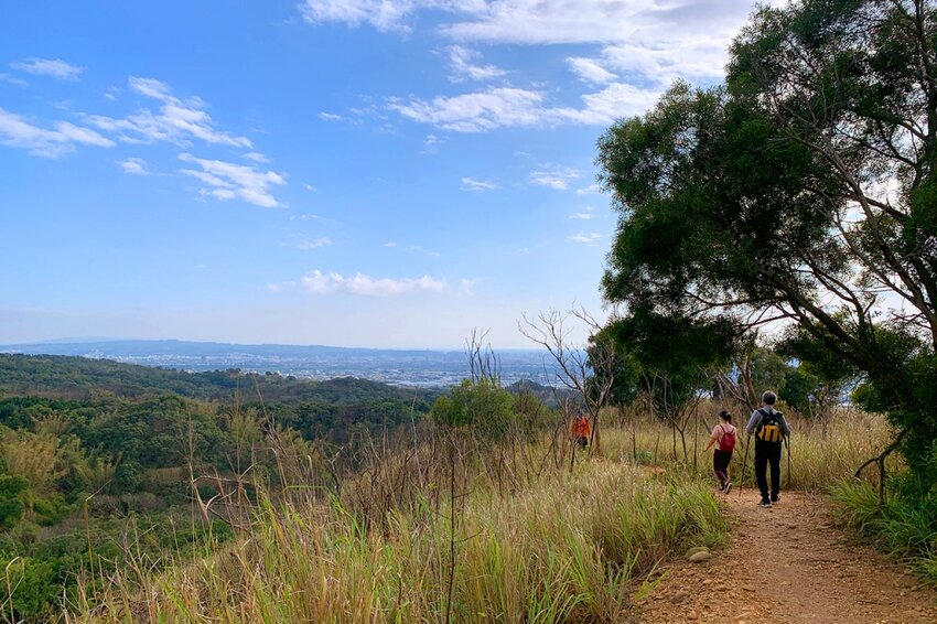 台中大肚｜萬里長城．旗開得勝步道｜藍天枯木．漫步山脊大景