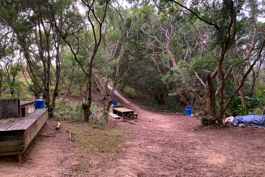 台中大肚｜萬里長城．旗開得勝步道｜藍天枯木．漫步山脊大景