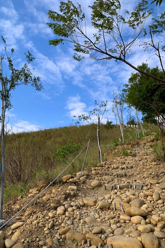 台中大肚｜萬里長城．旗開得勝步道｜藍天枯木．漫步山脊大景