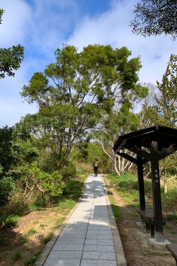 台中大肚｜萬里長城．旗開得勝步道｜藍天枯木．漫步山脊大景
