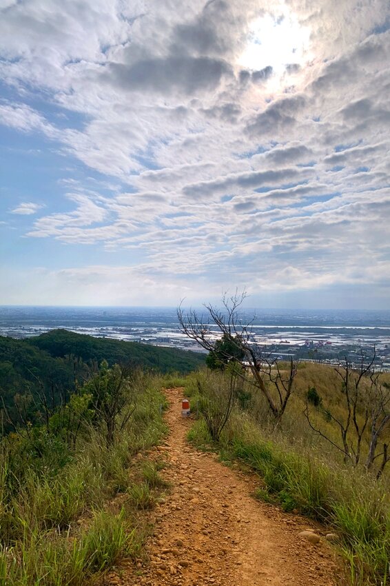 台中大肚｜萬里長城．旗開得勝步道｜藍天枯木．漫步山脊大景