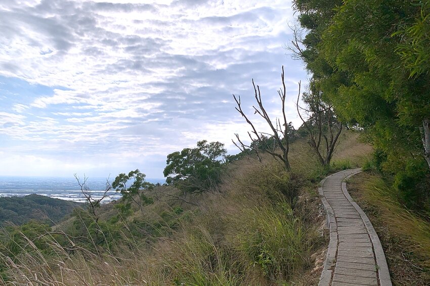 台中大肚｜萬里長城．旗開得勝步道｜藍天枯木．漫步山脊大景