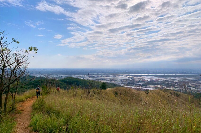 台中大肚｜萬里長城．旗開得勝步道｜藍天枯木．漫步山脊大景