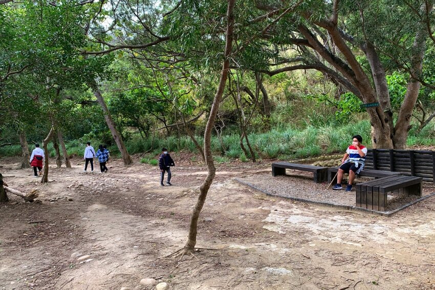 台中大肚｜萬里長城．旗開得勝步道｜藍天枯木．漫步山脊大景